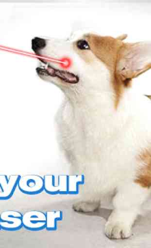 Laser For Dogs New Prank 1