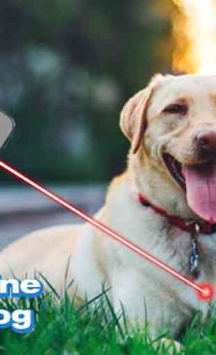 Laser For Dogs New Prank 2