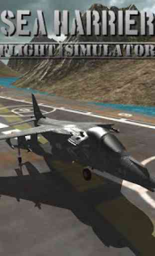 Sea Harrier Flight Simulator 1