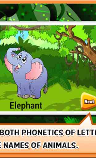 Animal Alphabet for Kids 2