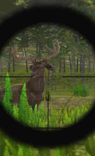 Big Deer Hunter Challenge 2016 1