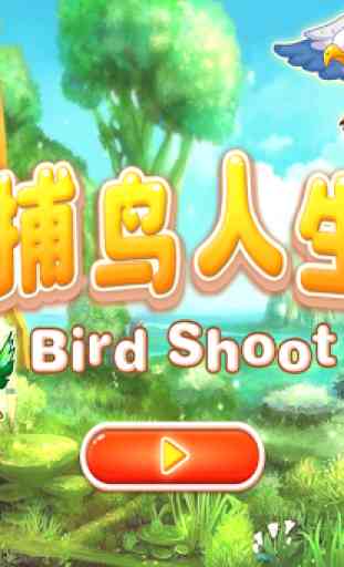 Bird shoot 2