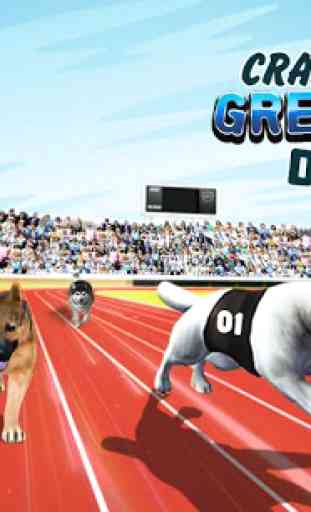 Crazy Greyhound Dog Racing 1