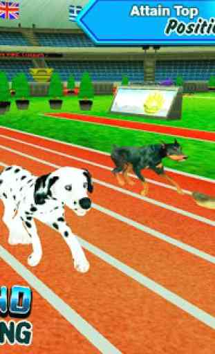 Crazy Greyhound Dog Racing 3