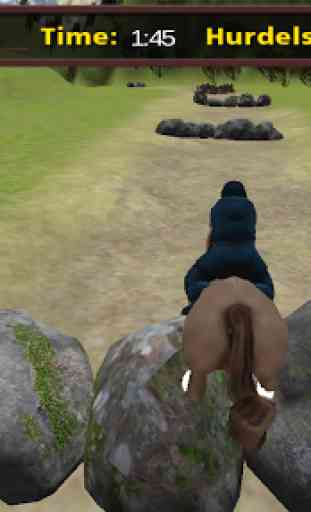 Horse Jumping Adventure 4