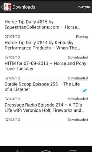 Horse Radio Network 2