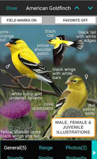 iBird Lite Free Guide to Birds 1