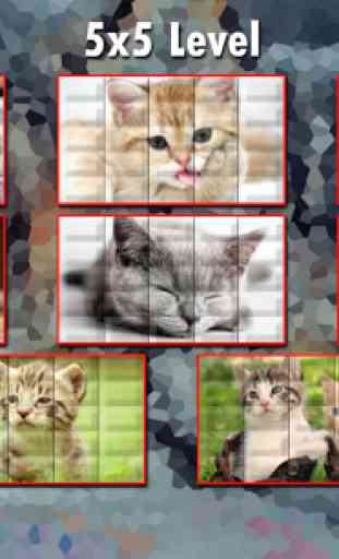 Kitty Puzzles 4