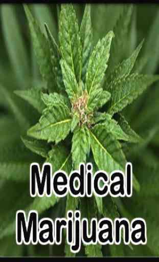 Medical Marijuana Treatment 1