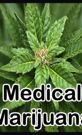 Medical Marijuana Treatment 4
