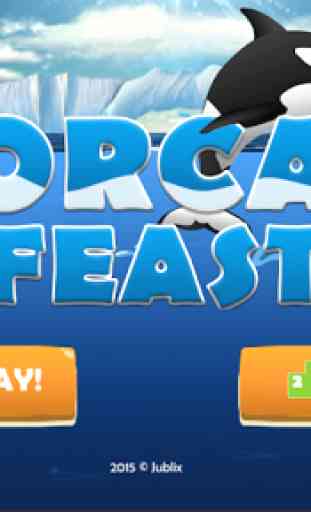 Orca Feast 1