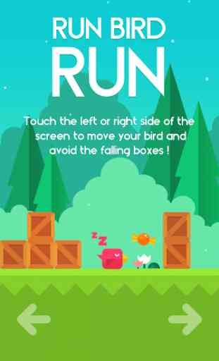 Run Bird Run 2