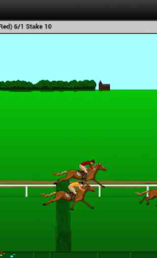 Steeplechase Horse Racing 1