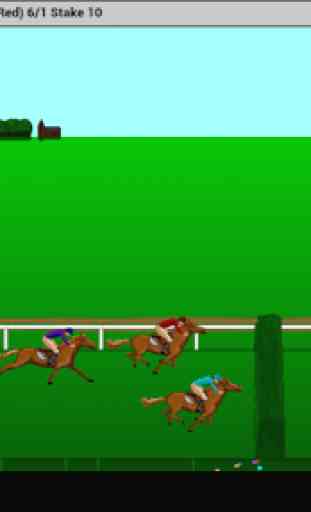 Steeplechase Horse Racing 3