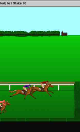 Steeplechase Horse Racing 4
