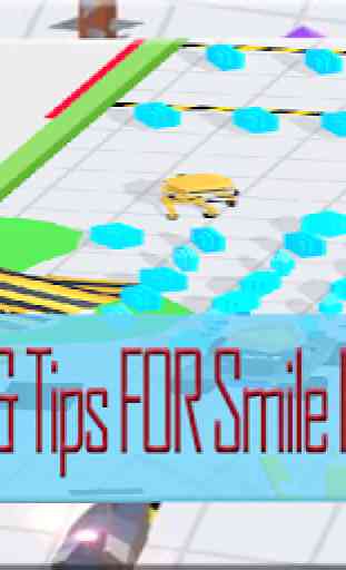 Tips Smile Inc. 3