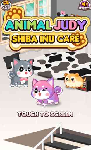 Animal Judy: Shiba Inu care 1