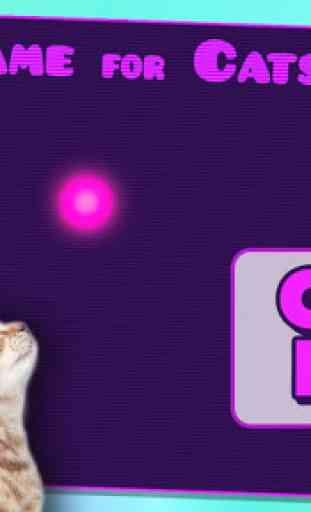 Game for Cats 2