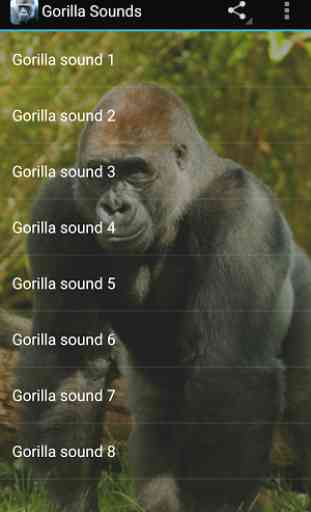 Gorilla Sounds 1