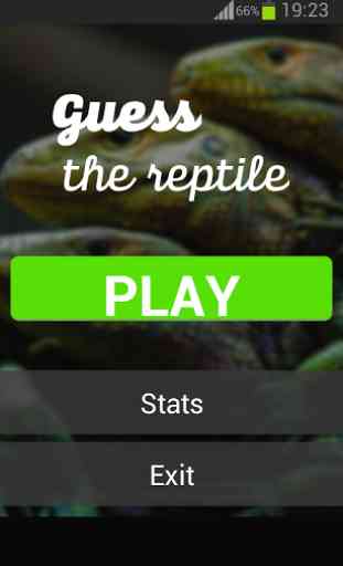 Guess the reptile 1