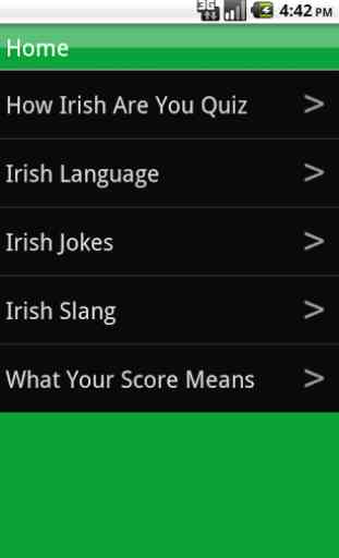 How Irish Are You? 2