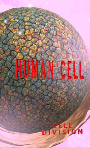 Human Cell 3D 1