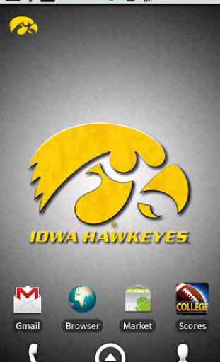 Iowa Hawkeyes Revolving WP 3