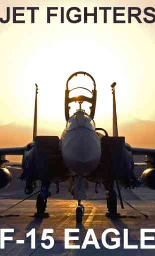 Jet Fighters: F-15 Eagle FREE 1