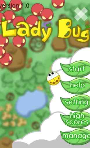 LadyBug 1