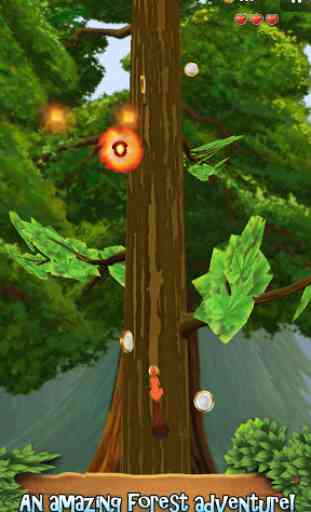 Nuts!: Infinite Forest Run 1