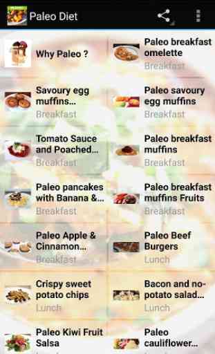 Paleo Diet Recipes 1