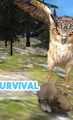 Wild Owl Simulator 3D 2