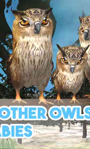 Wild Owl Simulator 3D 3