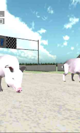 Animal Racing: Pig 3