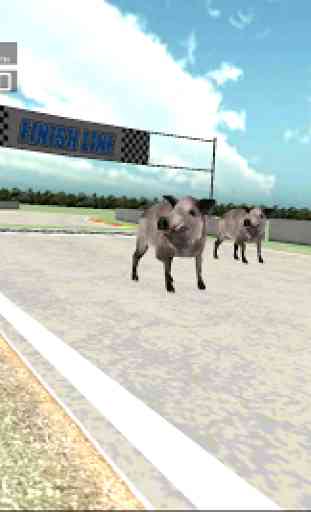 Animal Racing: Pig 4