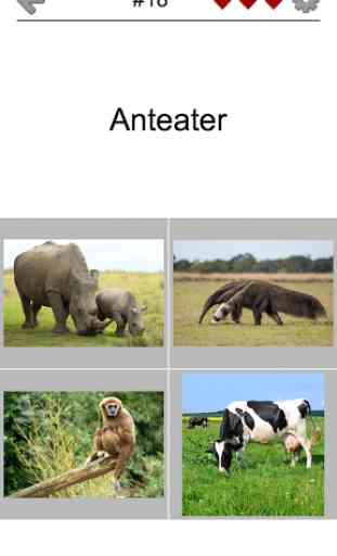 Animals Quiz - All Mammals Zoo 2