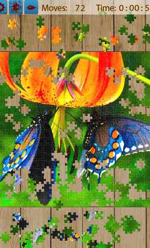 Butterfly Jigsaw Puzzles 2