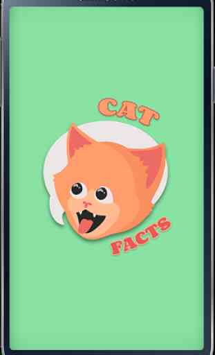 Cat Facts 4