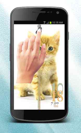 Cute Kitty Zip Lock Screen 2