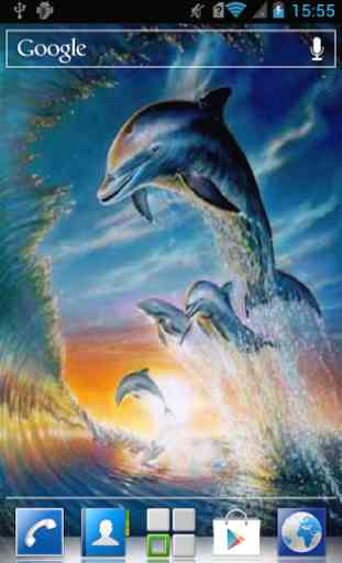 Dolphins live wallpaper 1
