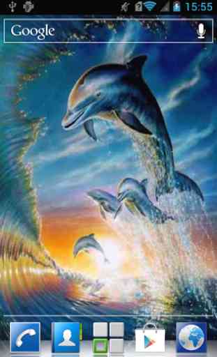 Dolphins live wallpaper 2