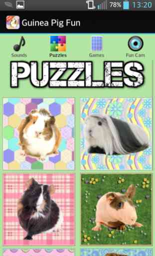 Guinea Pig Games 2