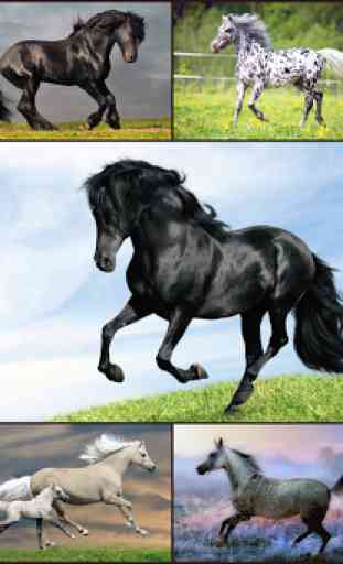 Horse games - Jigsaw Puzzles 1