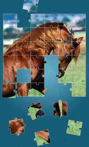 Horses Jigsaw Puzzle Game 1