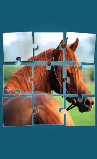 Horses Jigsaw Puzzle Game 2