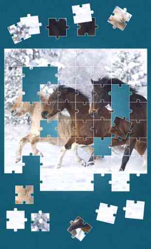 Horses Jigsaw Puzzle Game 3