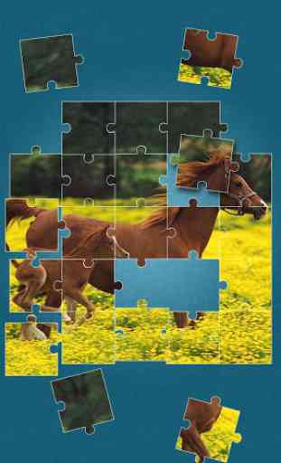 Horses Jigsaw Puzzle Game 4