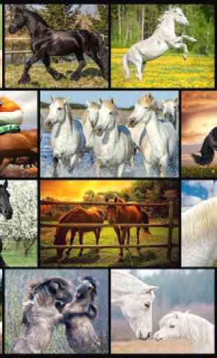 Horses Jigsaw Puzzles for Kids 1