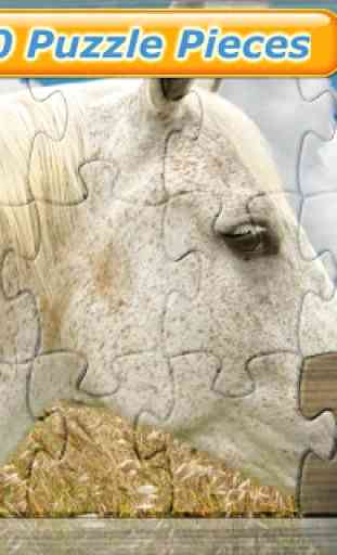 Horses Jigsaw Puzzles for Kids 3