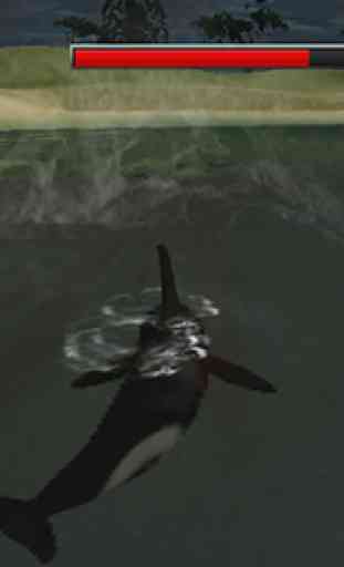 Hungry Killer Orca Whale 3D 4